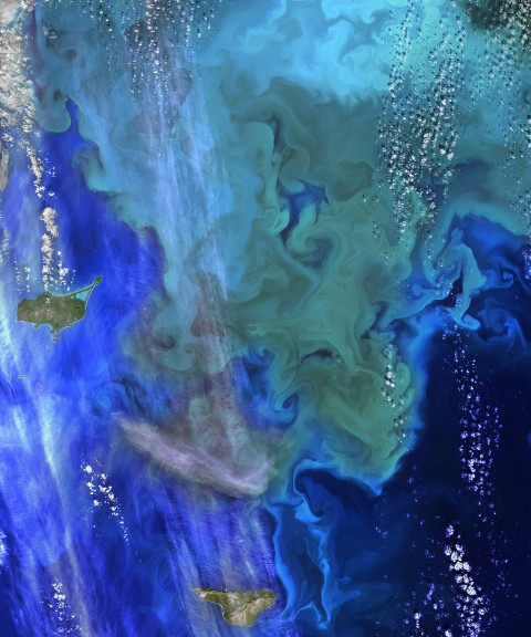 El Ninos can cause harmful algal blooms. Image: "NASA Ocean Data Shows ‘Climate Dance’ of Plankton" by NASA Goddard Space Flight Center, CC BY 2.0.