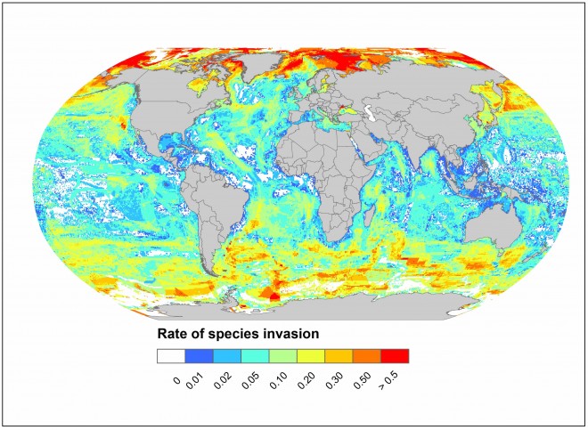 The Arctic and Southern oceans (red areas) could see up to two new species per half-degree of latitude by 2050 if greenhouse gas emissions remain high.