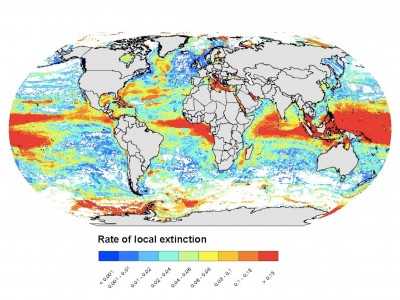 A computer model is used to show projections of how fish species may move towards the poles and into deeper waters in a high CO2 emissions scenario. Source: Jones and Cheung 2015.