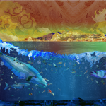 Illustrating the ocean: The process of depicting the complexity of marine ecosystems