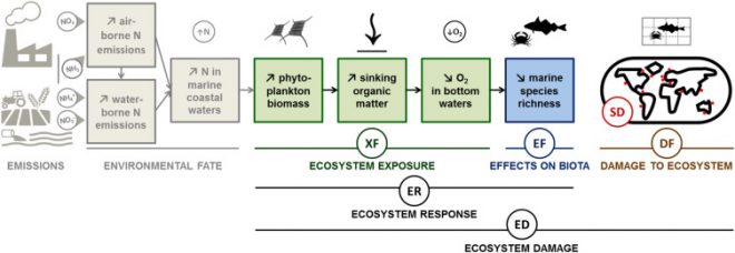 Fig. 1. Schematic representation of the marine eutrophication impact pathway. Cosme, N., et al., Spatial differentiation of marine eutrophication damage indicators based on species density. Ecol. Indicat. (2016), http://dx.doi.org/10.1016/j.ecolind.2016.10.026