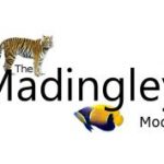 The Madingley model and questions of abstraction and scale