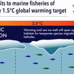 1.5°C Paris Agreement target could net six million tonnes of fish annually