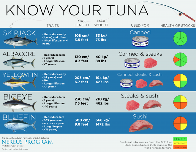 Tuna Size Chart