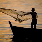 小規模漁業：漁獲と文化への貢献度を測る