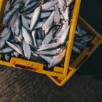 Promoting diversity and inclusiveness in seafood certification and ecolabelling: Prospects for Asia