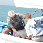 Vaquita captured! What are their chances for survival?