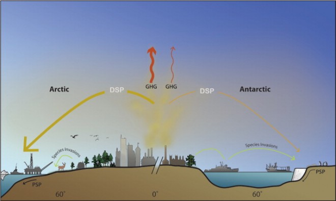 Figure 1. Shared threats to polar environments. Greenhouse gases (GHGs, red arrows) are the major causes of climate change, the principal threat to polar environments. Climate change interacts with other threats, including diffuse-source pollutants (DSPs) such as persistent organic pollutants and ozone-depleting chemicals that migrate from lower latitudes. It also raises the risk of more localized point-source pollutants (PSPs), as well as fisheries overexploitation (represented by fishing boats) and species invasions (green arrows).