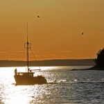 カナダ連邦政府の舵取りが自国の海を悪化させているとの研究報告