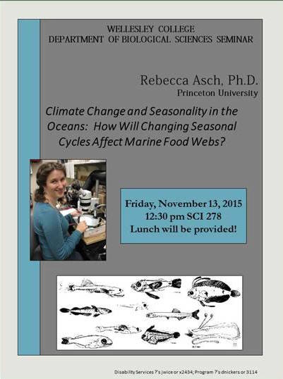 Rebecca Asch poster climate change and seasonality
