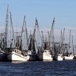 Dynamic ocean management can reduce fisheries bycatch