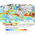ネレウスプログラムにおける気候変動による影響の予測モデルの不確実性に関する研究