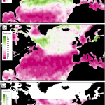 北大西洋における季節的な植物プランクトンの増殖は、カイアシ類の越冬方法に関係していた
