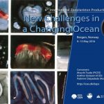 ICES（ 国際海洋探査協議会）／ PICES( 北太平洋海洋科学機構） 第６回動物プランクトン生産シンポジウム