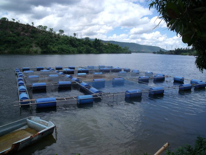 Image: "Cage aquaculture in Ghana. Photo by Curtis Lind, 2009" by WorldFish, CC BY-NC-ND 2.0.