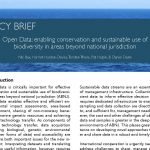 POLICY BRIEF: Open Data: enabling conservation and sustainable use of biodiversity in areas beyond national jurisdiction