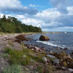 保全の事例研究：エストニアの自然保護