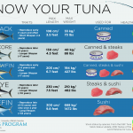 Skipjack or yellowfin? Stock status and ecosystem effects of tuna fisheries