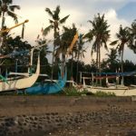 マングローブ、漁業、コミュニティーの暮らし：インドネシアでのフィールドワークについて