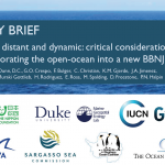 POLICY BRIEF: Deep, distant and dynamic: critical considerations for incorporating the open-ocean into a new BBNJ treaty