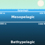 A global biogeographic classification of the mesopelagic zone