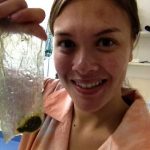 Changes in jellyfish population sizes – Natasha Henschke finishes fellowship